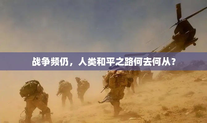 战争频仍，人类和平之路何去何从？