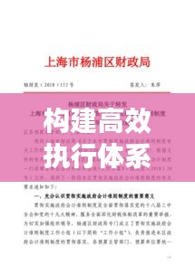 构建高效执行体系，路径探索与若干准则贯彻落实实践指南
