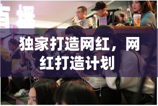 独家打造网红，网红打造计划 