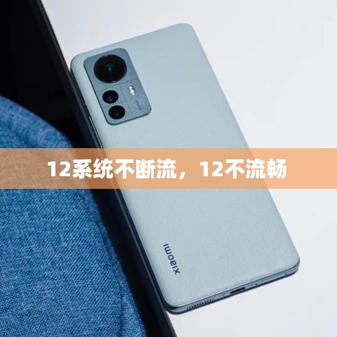 12系统不断流，12不流畅 