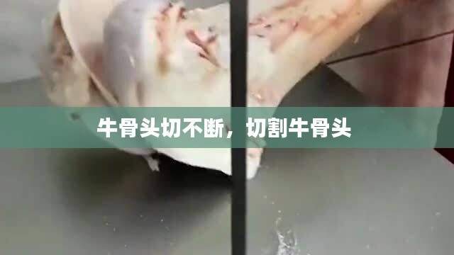 牛骨头切不断，切割牛骨头 