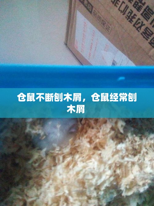 五光十色 第2页