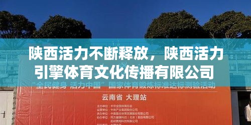 陕西活力不断释放，陕西活力引擎体育文化传播有限公司 