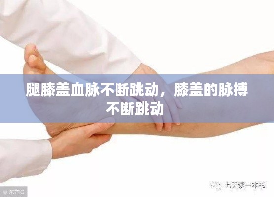 腿膝盖血脉不断跳动，膝盖的脉搏不断跳动 