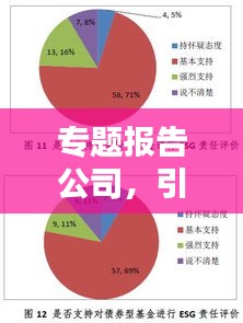 专题报告公司，引领企业决策的核心力量