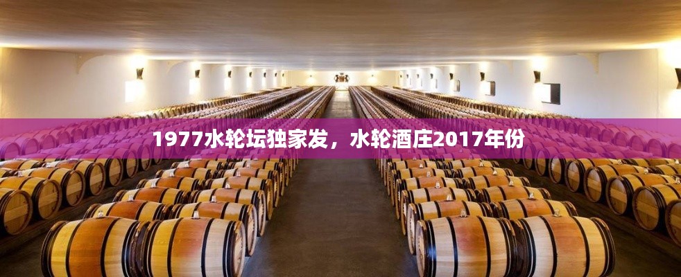 1977水轮坛独家发，水轮酒庄2017年份 