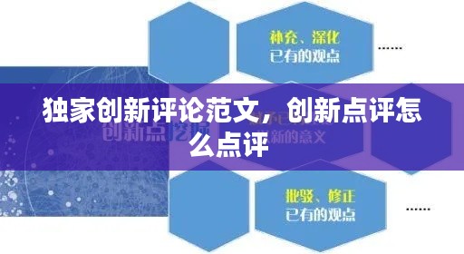 独家创新评论范文，创新点评怎么点评 