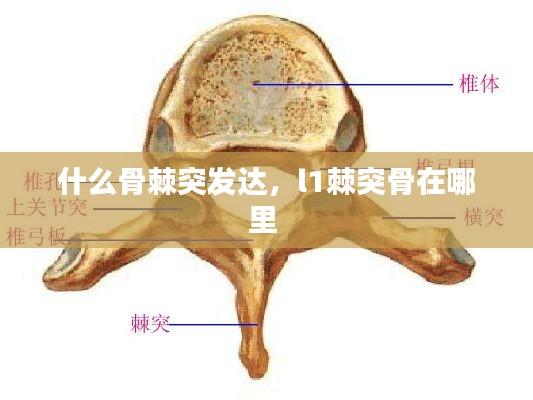 凤鸟不至 第2页