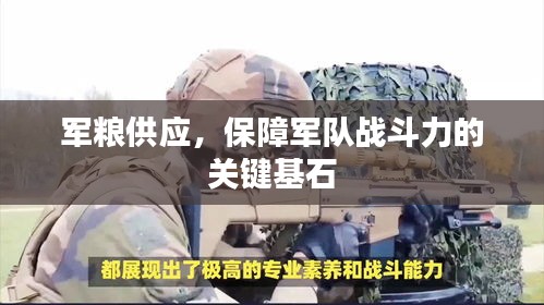 降贵纡尊 第2页