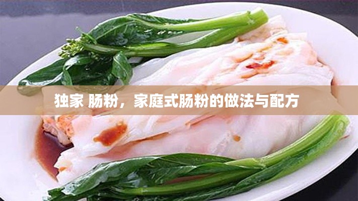 独家 肠粉，家庭式肠粉的做法与配方 