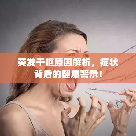 博古通今 第2页