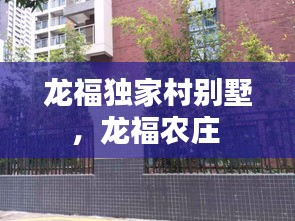 龙福独家村别墅，龙福农庄 