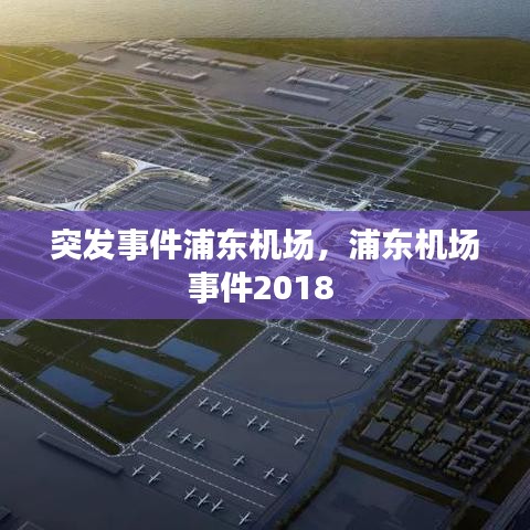突发事件浦东机场，浦东机场事件2018 