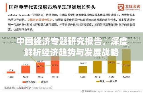 中国经济专题研究报告，深度解析经济趋势与发展战略