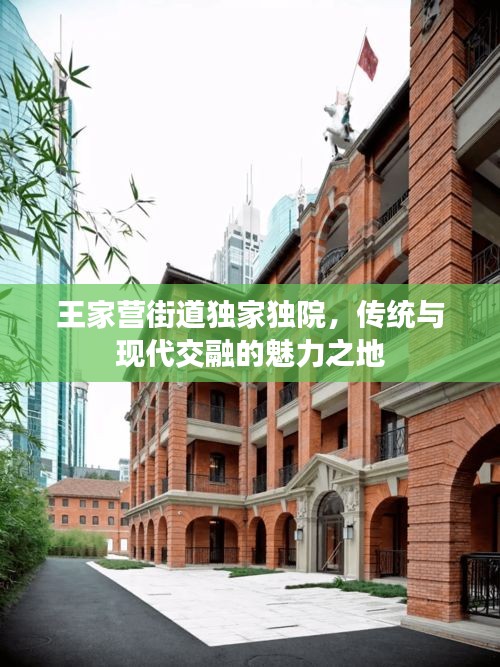 王家营街道独家独院，传统与现代交融的魅力之地