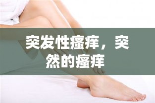 真独简贵 第2页