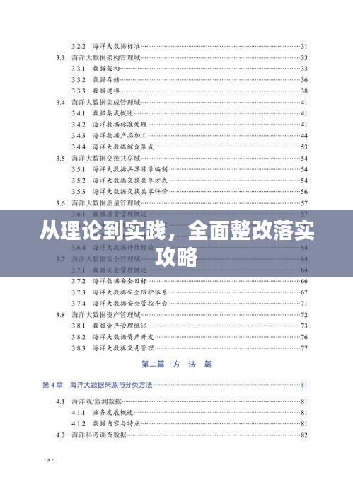 从理论到实践，全面整改落实攻略