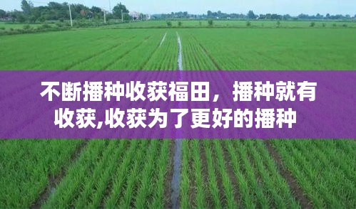 不断播种收获福田，播种就有收获,收获为了更好的播种 