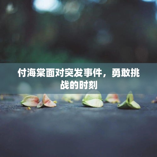 付海棠面对突发事件，勇敢挑战的时刻