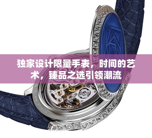 独家设计限量手表，时间的艺术，臻品之选引领潮流