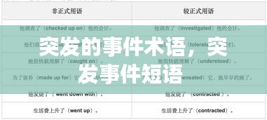 突发的事件术语，突发事件短语 