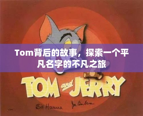 Tom背后的故事，探索一个平凡名字的不凡之旅