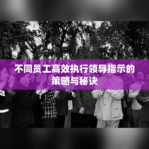 不同员工高效执行领导指示的策略与秘诀