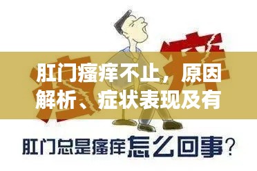 还淳返朴 第2页