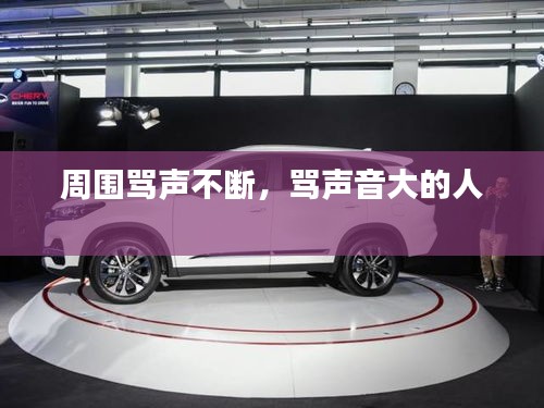周围骂声不断，骂声音大的人 
