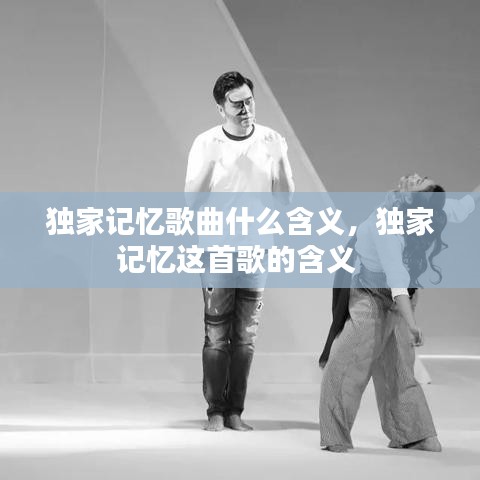 独家记忆歌曲什么含义，独家记忆这首歌的含义 