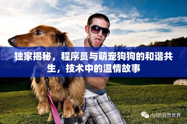 蓬荜生辉 第2页