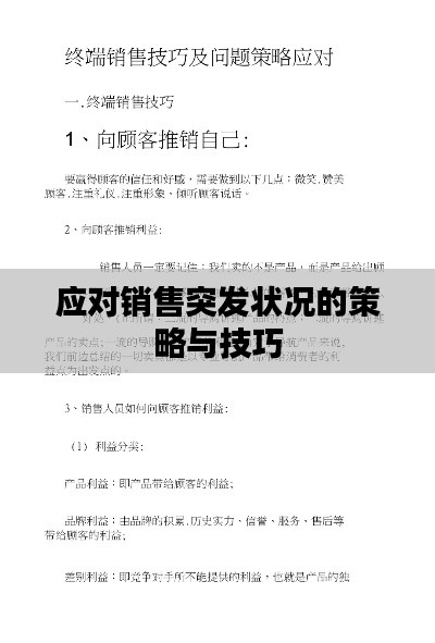 应对销售突发状况的策略与技巧