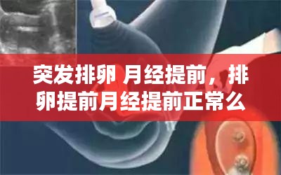 突发排卵 月经提前，排卵提前月经提前正常么 