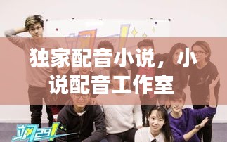 独家配音小说，小说配音工作室 