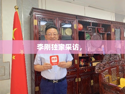李刚独家采访， 