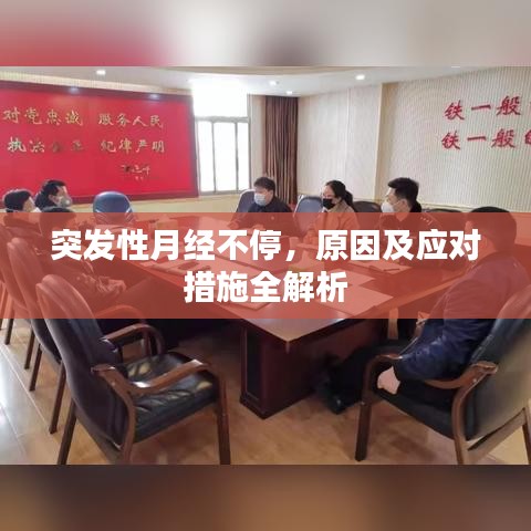 衣不兼采 第2页