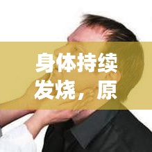 雍荣闲雅 第2页