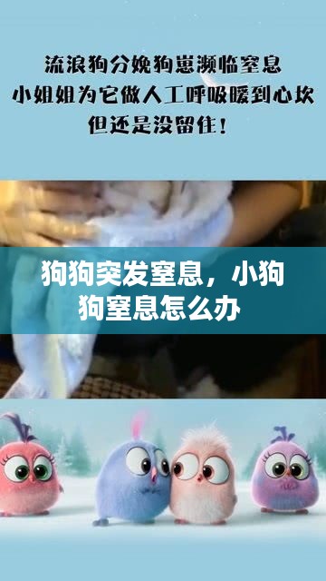 作舍道边 第2页