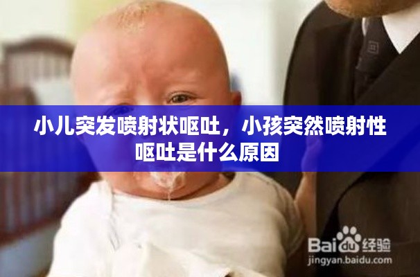 初遇在故事开头 第2页