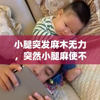 雅人深致 第2页