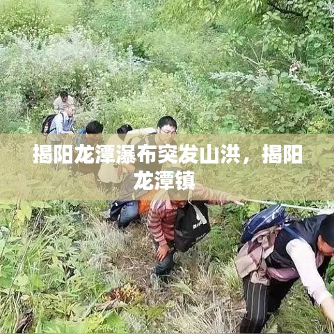 飞黄腾达 第2页