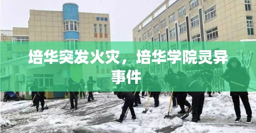 龙马精神 第2页