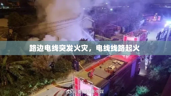 一次性餐包 第187页