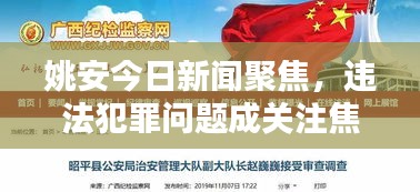 姚安今日新闻聚焦，违法犯罪问题成关注焦点