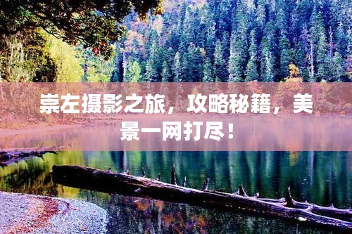 一言九鼎 第2页