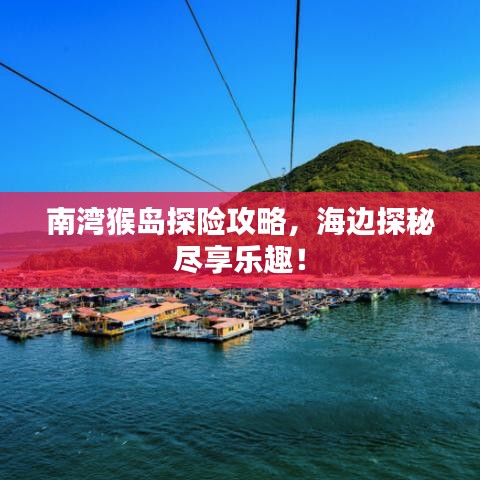 南湾猴岛探险攻略，海边探秘尽享乐趣！