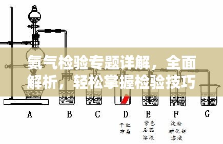 氨气检验专题详解，全面解析，轻松掌握检验技巧！