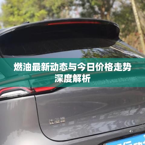 燃油最新动态与今日价格走势深度解析