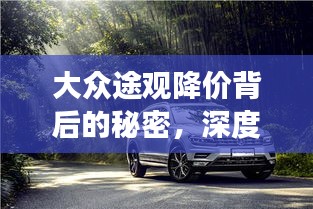大众途观降价背后的秘密，深度解析与市场趋势洞察