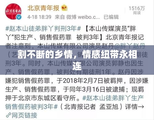 割不断的乡情，情感纽带永相连